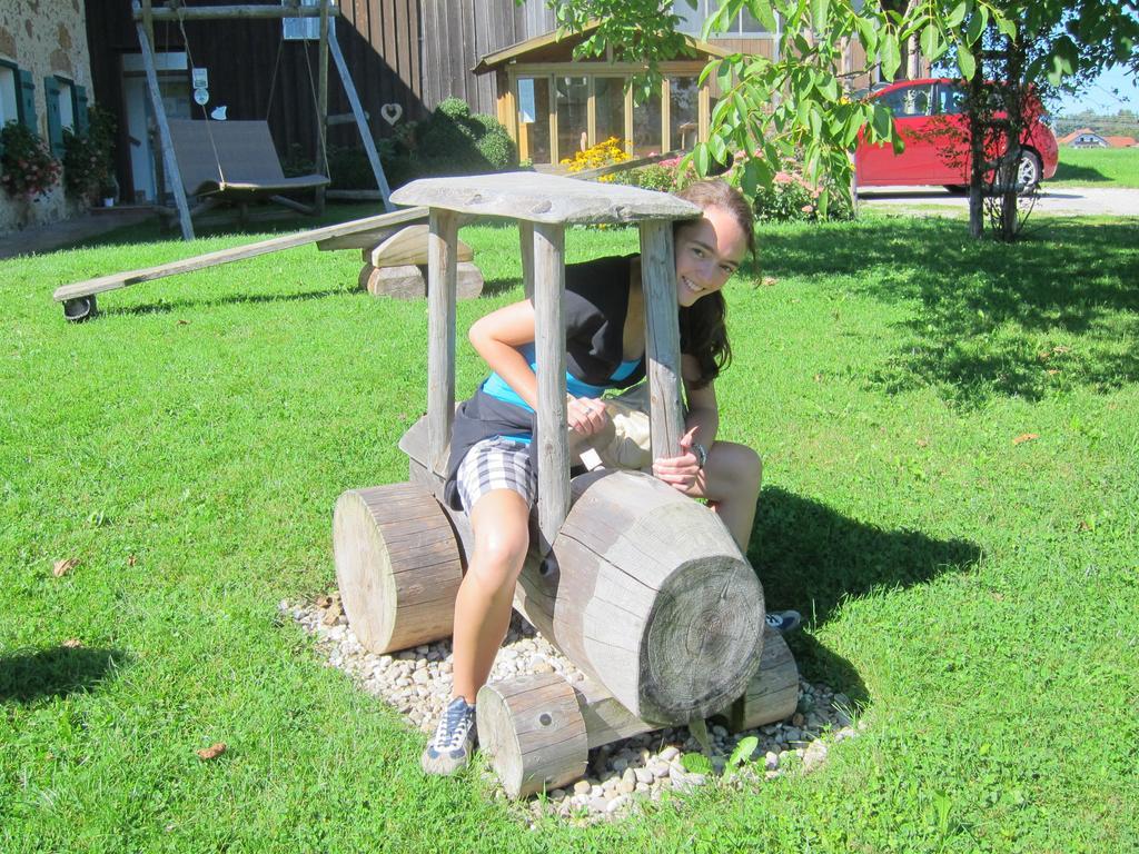 Baby- Und Kinderhof Aicherbauer Seeham Exteriör bild