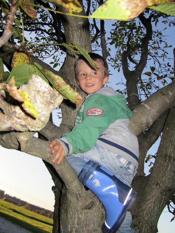 Baby- Und Kinderhof Aicherbauer Seeham Exteriör bild