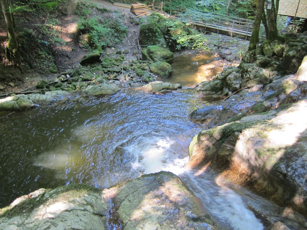Baby- Und Kinderhof Aicherbauer Seeham Exteriör bild