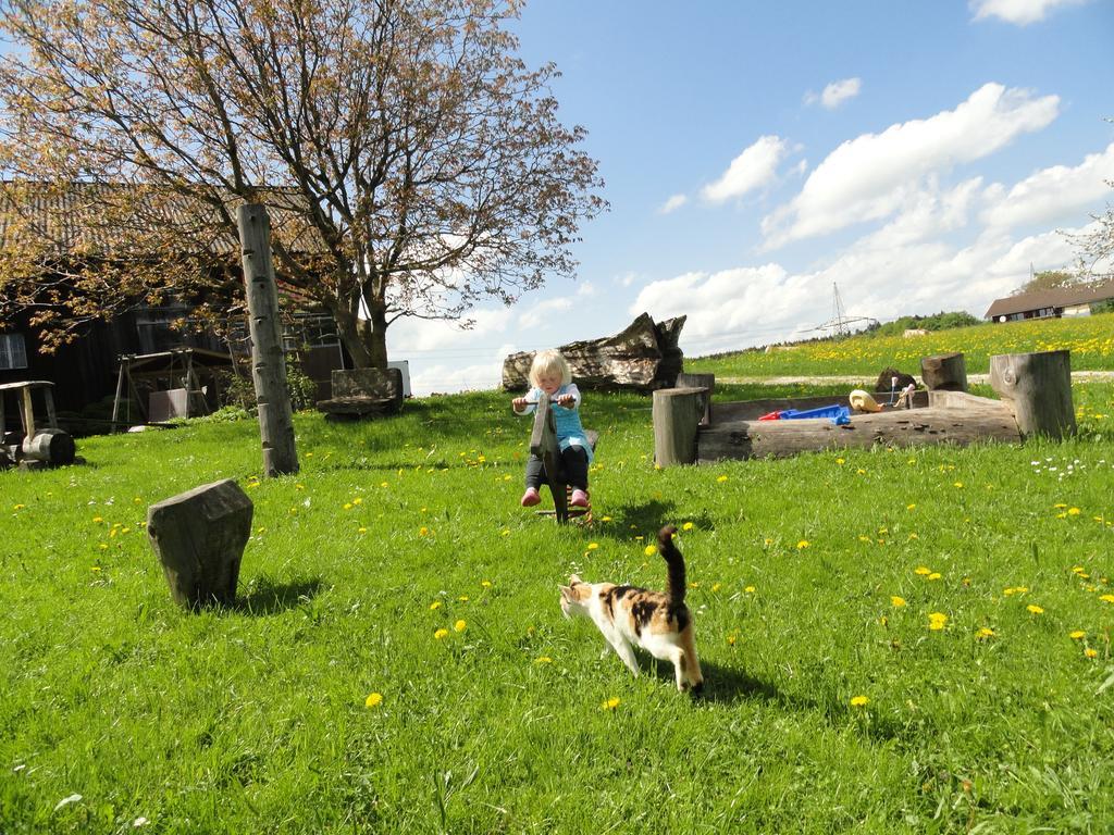 Baby- Und Kinderhof Aicherbauer Seeham Exteriör bild