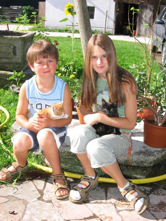 Baby- Und Kinderhof Aicherbauer Seeham Exteriör bild