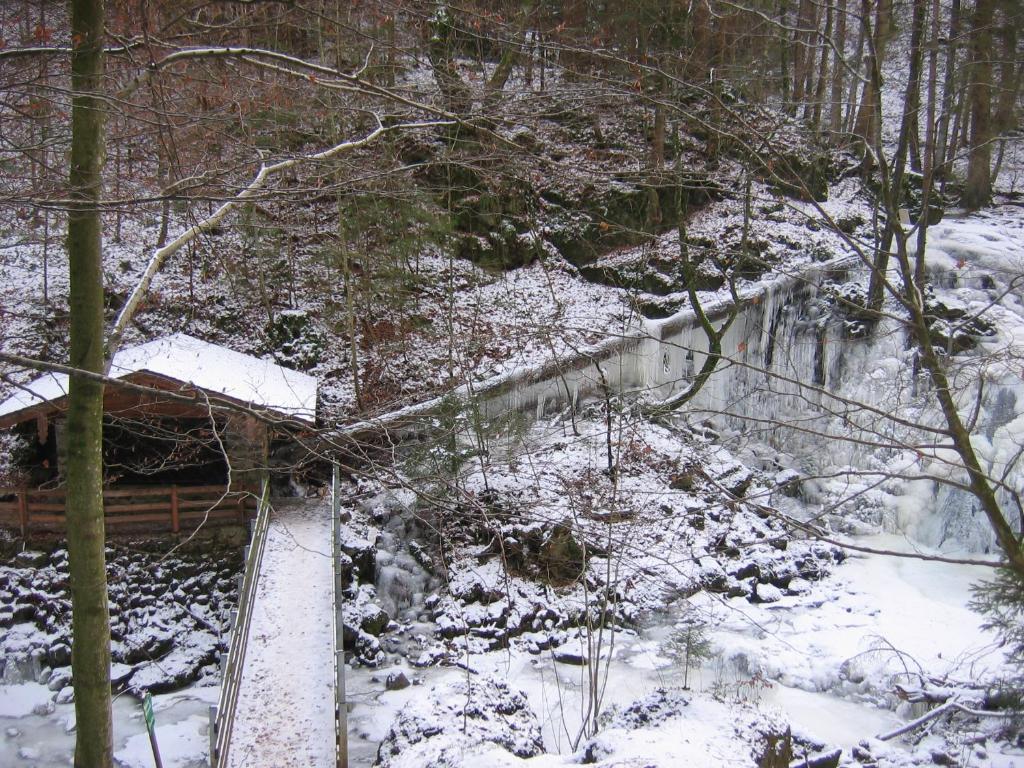 Baby- Und Kinderhof Aicherbauer Seeham Exteriör bild